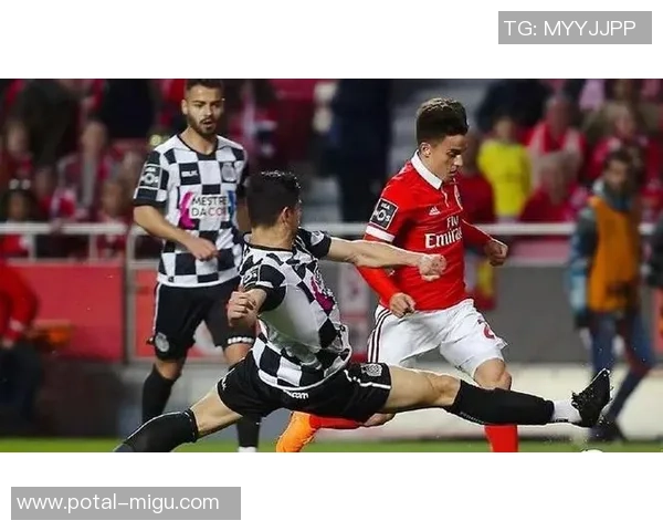 埃斯托里尔与费雷拉激战在即谁能在这场对决中笑到最后